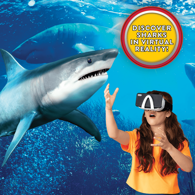 ABACUS VR SHARK LAB ABACUS VR SHARK LAB