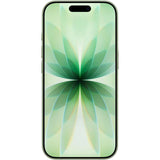 Apple iPhone 17  - Sage