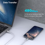BENFEI USB-C Fast Charging Cable (3.3ft) ,100W