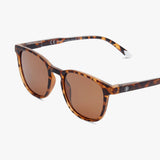 Barner Sun Dalston Tortoise