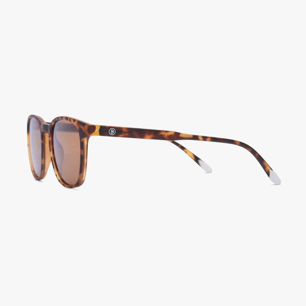 Barner Sun Dalston Tortoise Barner Sun Dalston Tortoise