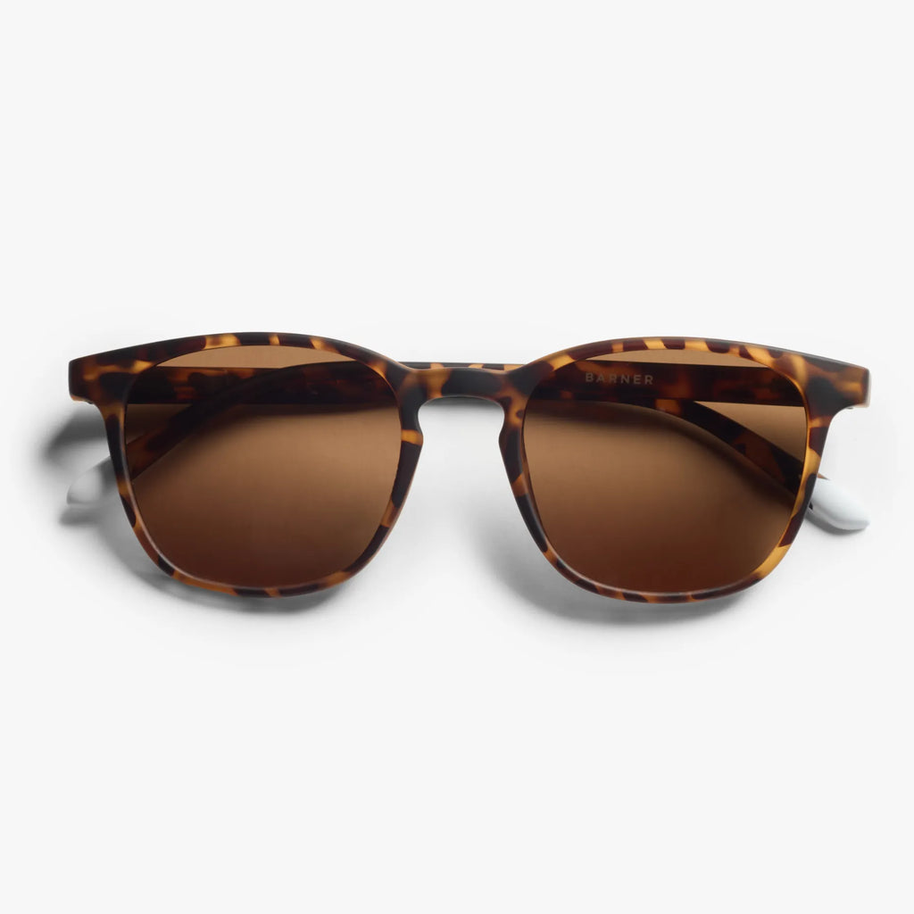 Barner Sun Dalston Tortoise