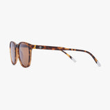 Barner Sun Dalston Tortoise