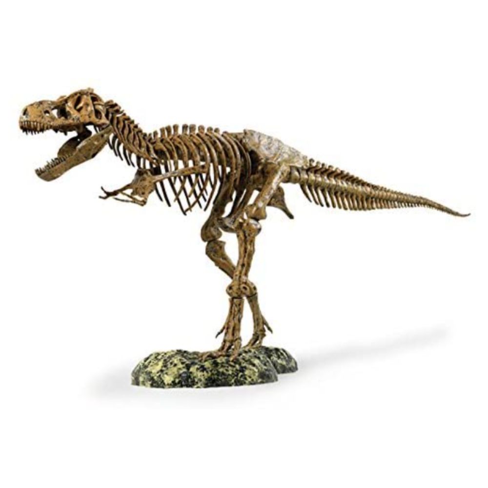 Edu Dinosaur T Rex Skeleton Edu Dinosaur T Rex Skeleton