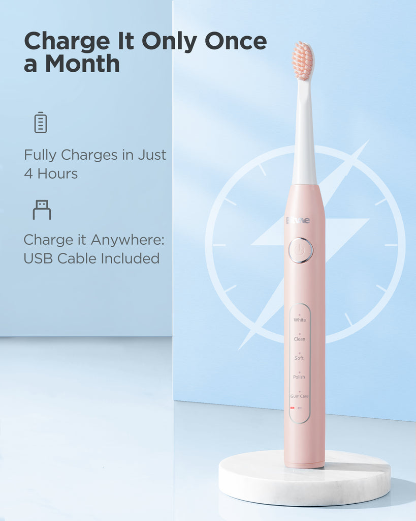 Bitvae Daily D2 Electric Toothbrush Bitvae Daily D2 Electric Toothbrush