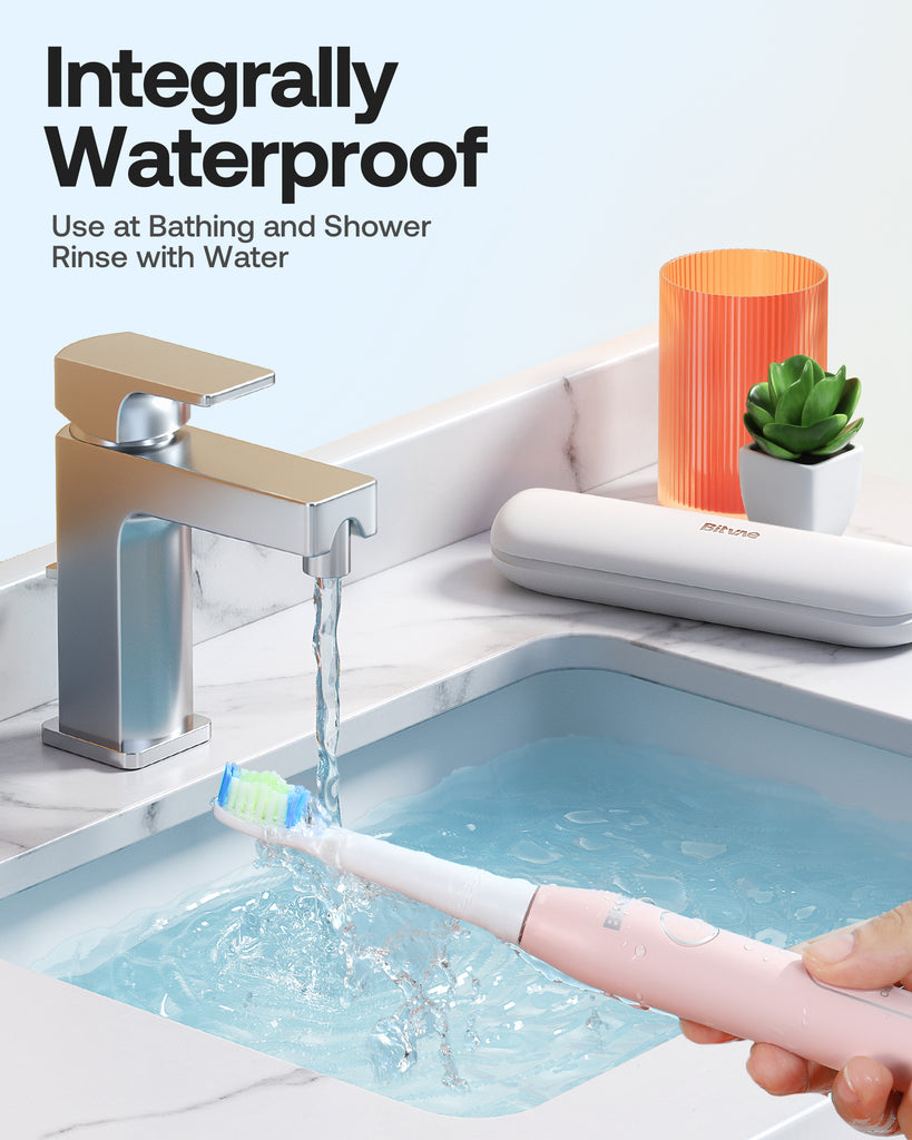 Bitvae Daily D2 Electric Toothbrush Bitvae Daily D2 Electric Toothbrush