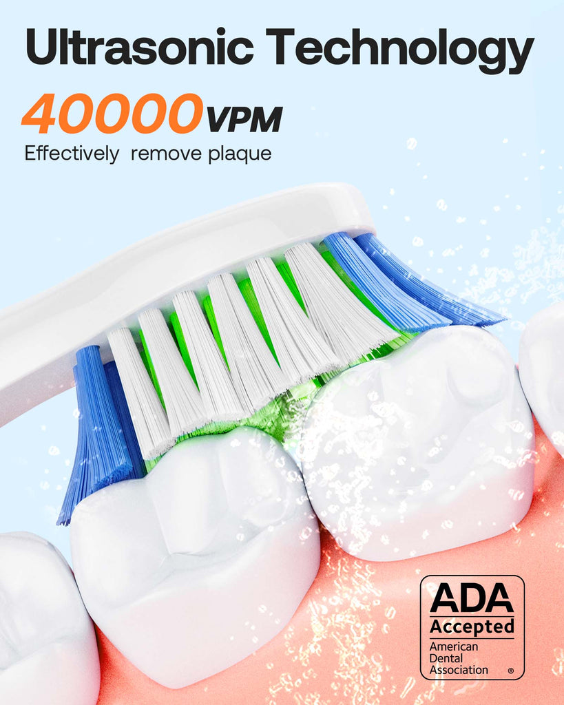 Bitvae Daily D2 Electric Toothbrush Bitvae Daily D2 Electric Toothbrush