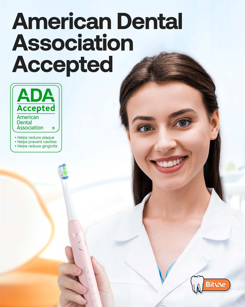 Bitvae Daily D2 Electric Toothbrush Bitvae Daily D2 Electric Toothbrush