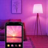 Govee WIFI & Bluetooth Smart Light Bulb 800lm - 1 Pack
