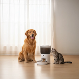 Green Lion Smart Pet Feeder with Stainless Steel Bowl - White