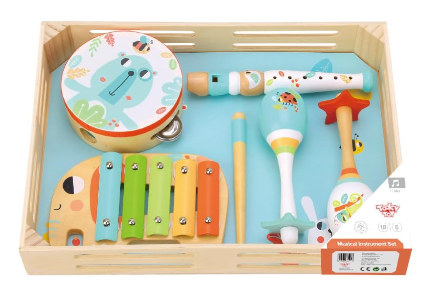 TOOKY TOY MUSIC INSTRUMENT SET TF567