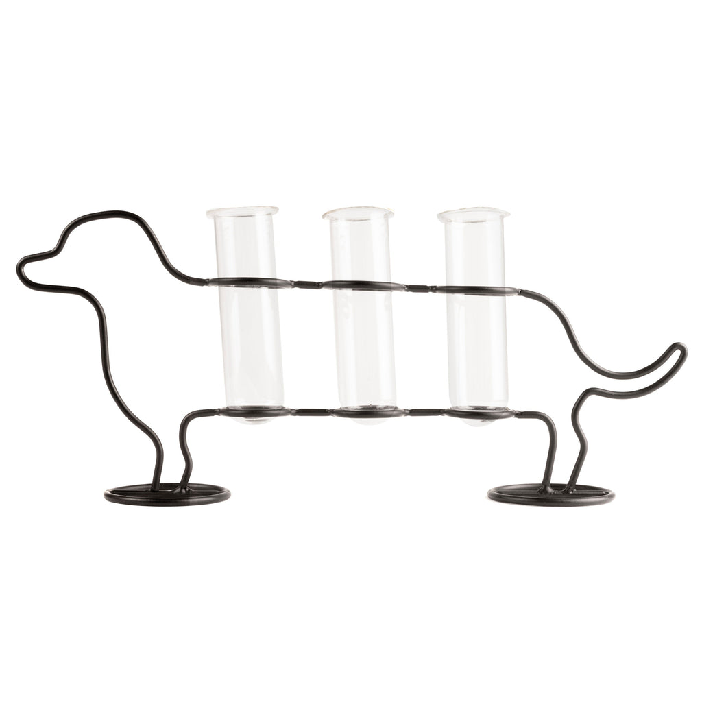 KIKKERLAND DACHSHUND PROPAGATION