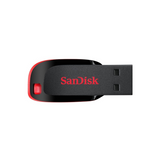 Sandisk Flash Drive