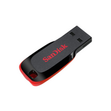 Sandisk Flash Drive