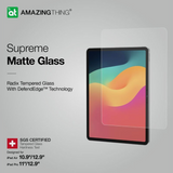 AmazingThing iPad Pro 11 (M4) Radix Glass Protector - Matte