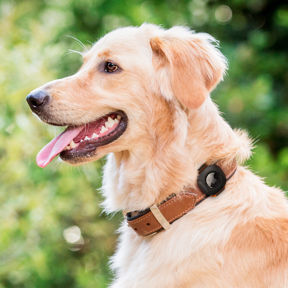 Spigen ComforTag Pet Collar for AirTag - Black