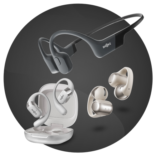 Earphones